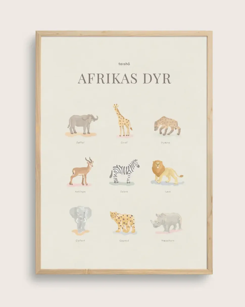African Animals