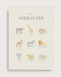 African Animals