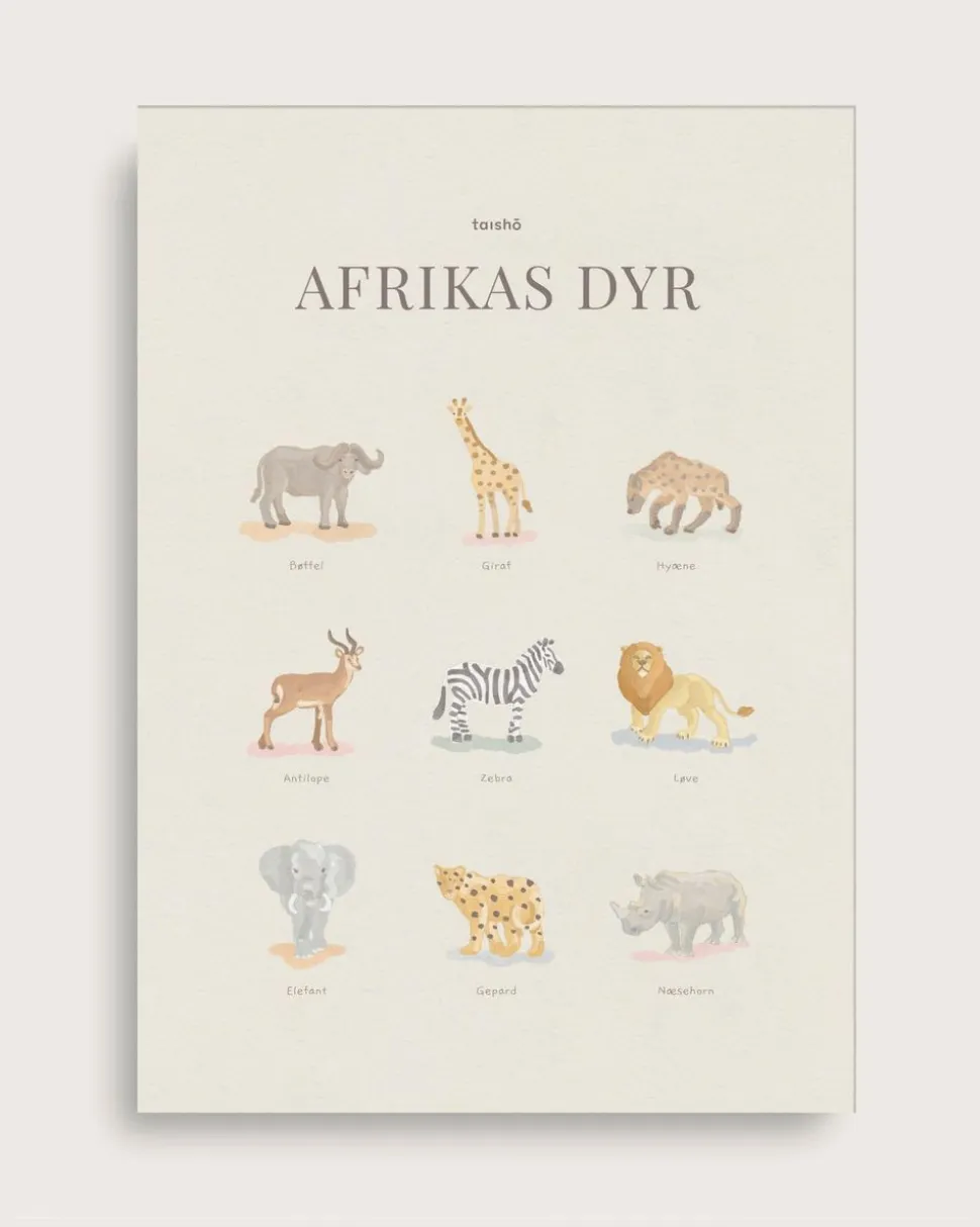 African Animals