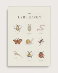 Animals In The Garden