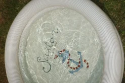 Basic 2 Ring Pool Small