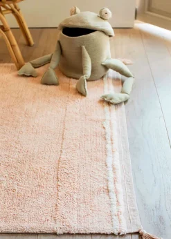 Basket Fred The Frog