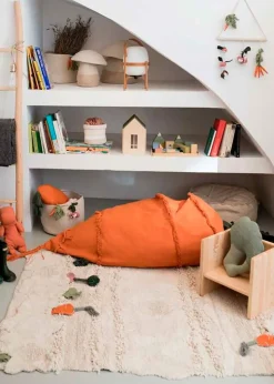 Bean Bag Cathy The Carrot