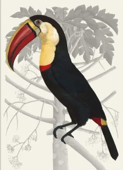 Black red yellow white #6702