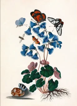 BUTTERFLIES & BLUE FLOWERS #7000