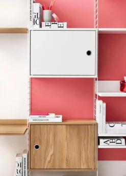 Cabinet w/ Swing Door