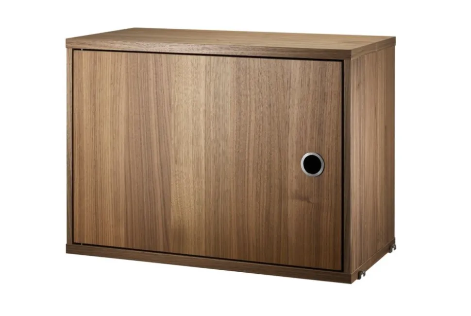 Cabinet w/ Swing Door