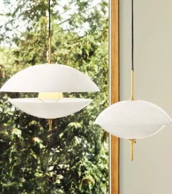 Clam - A pearl of light