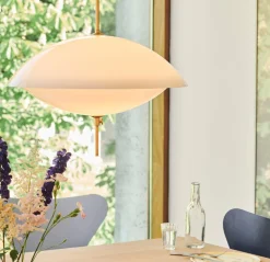 Clam - A pearl of light