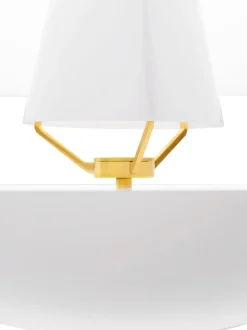 Clam - A pearl of light