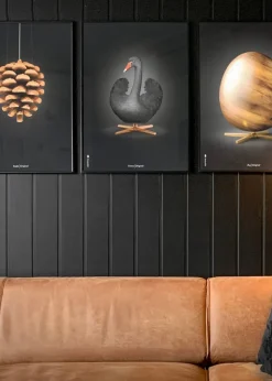 Classic Swan Poster - Black