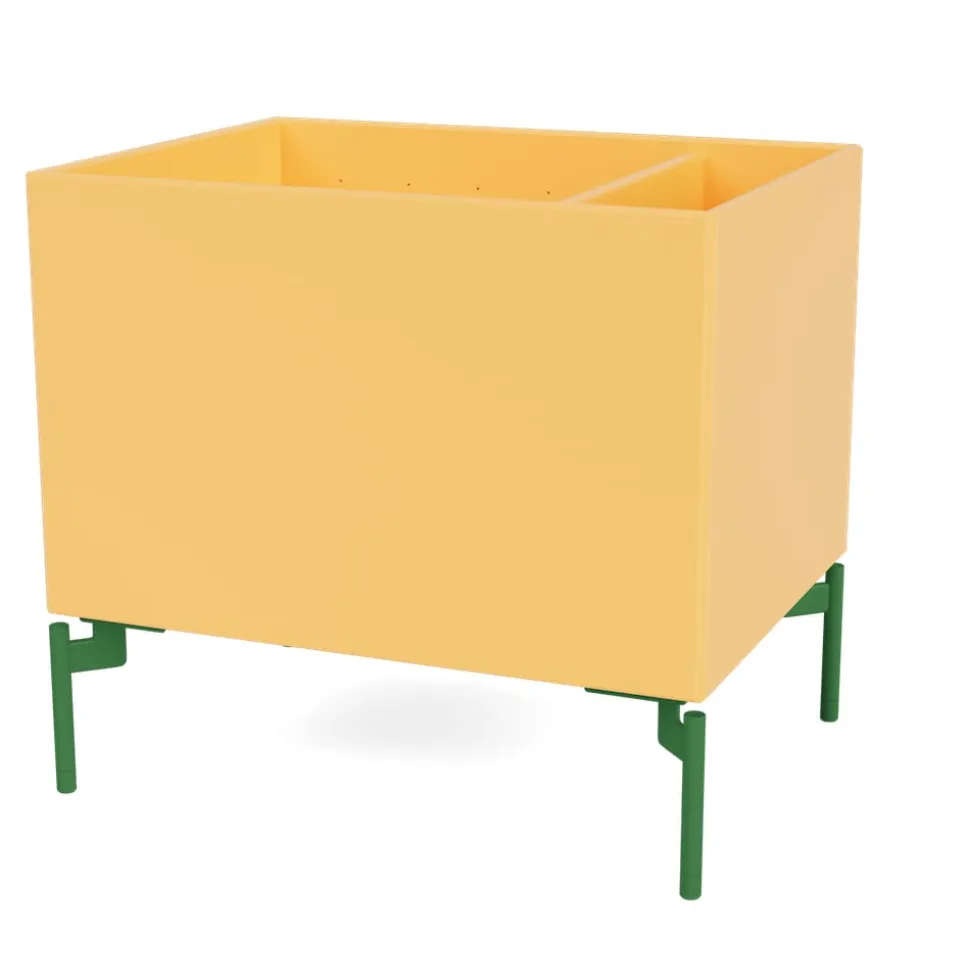 Colour Box II – S1162 - With Parsley Legs