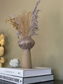 Eden outcast - Sprout