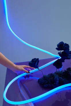 Flex Lamp / Flex Tube