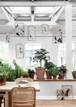 Floating Leaves - A3