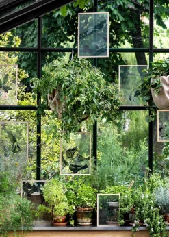 Floating Leaves - A3