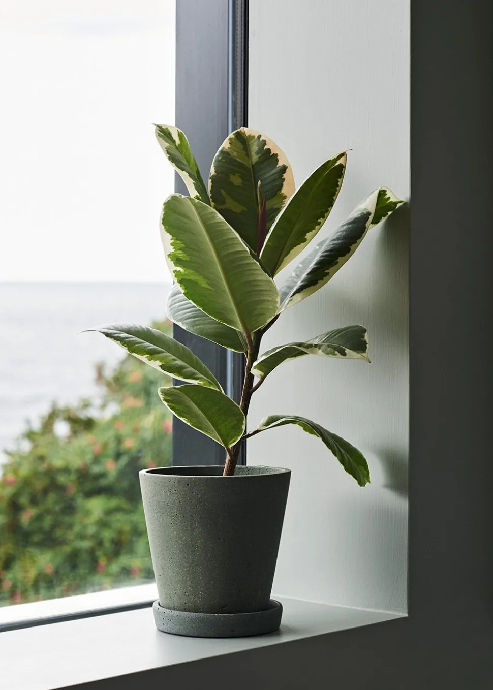 Flowerpot with saucer