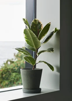 Flowerpot with saucer