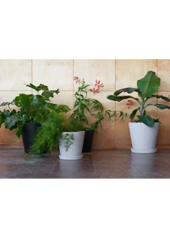 Flowerpot with saucer