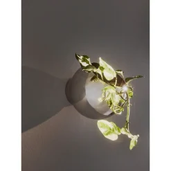 GLOBE wall flowerpot