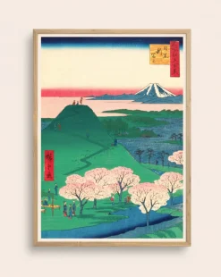 Hanami poster