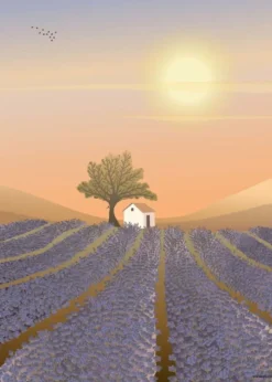 LAVENDER FIELD - poster