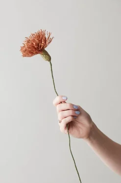 Paper Flower, Chrysanthemum