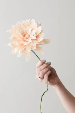 Paper Flower, Grand Dahlia
