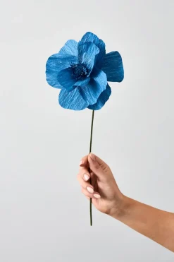 Paper Flower, Himalayan Poppy