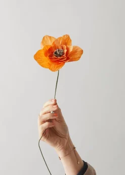 Paper Flower, Poppy