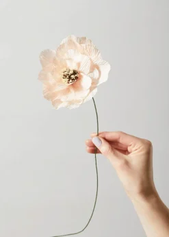 Paper Flower, Poppy