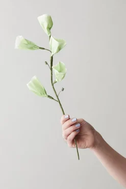 Paper Flower, Tinkerbell