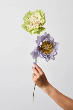 Paper Flower, Veggie Rose