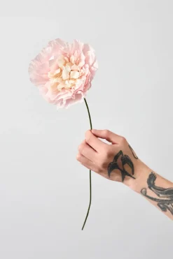 Paper Flower, Veggie Rose