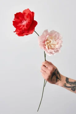 Paper Flower, Veggie Rose