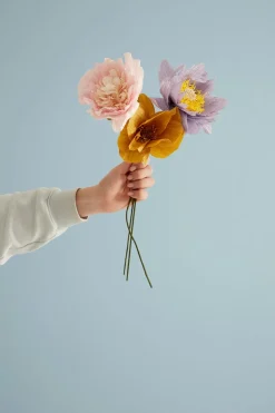 Paper Flower, Windflower