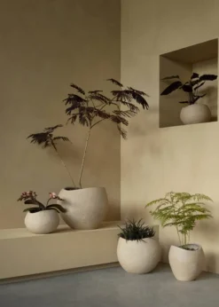 Plantas Planter