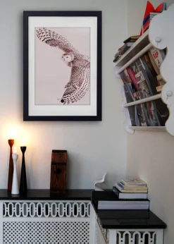 Powder Owl Limited Edition