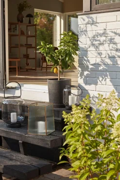 Ripple Lanterns Clear/Brass (set of 2)