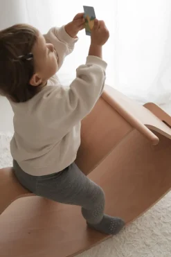 Rocking Horse nature