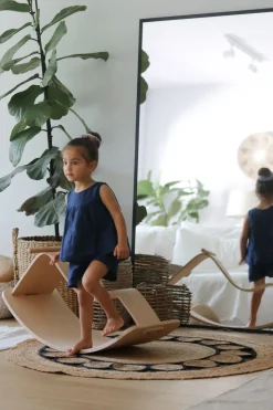 Rocking Horse nature