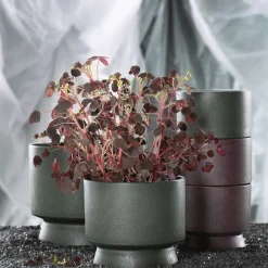 Rosendahl Flower Pot