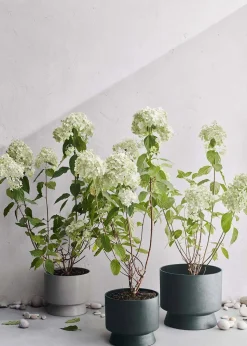 Rosendahl Flower Pot