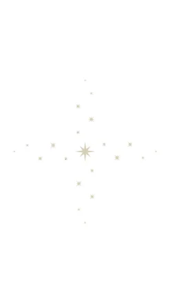 Silver Star Tablecloth