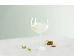 Spanish Gin & Tonic Glass