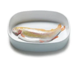 Superellipsefad Porcelain