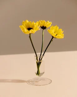 Tiny Vase