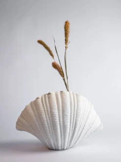 Vase Shell