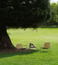 Vig Lounge Chair Robinia