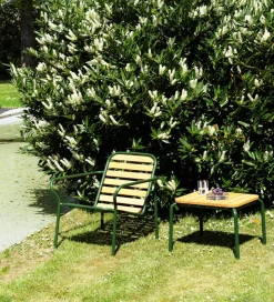 Vig Table Robinia